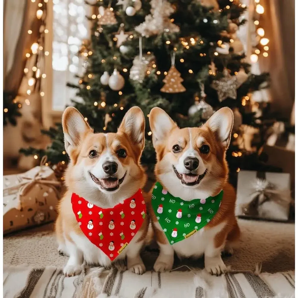 Raisingwell christmas dog